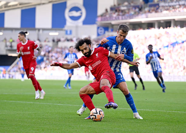 仅会令球员 仅会令球员