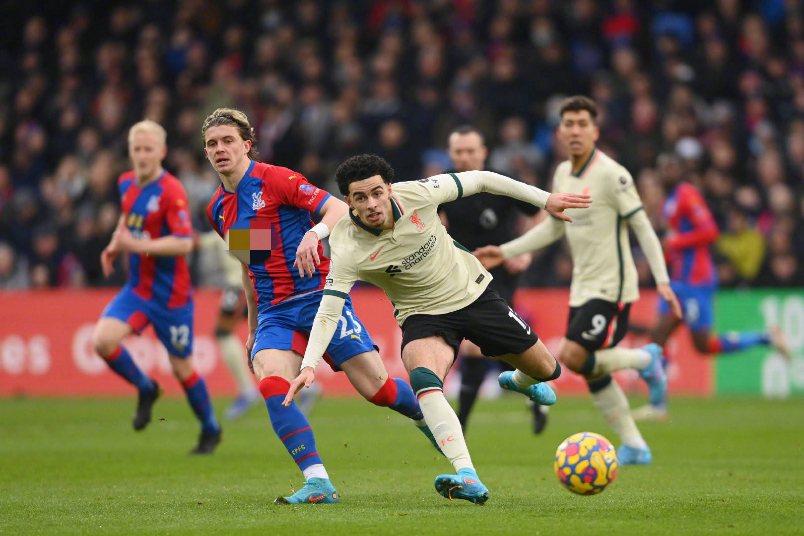 坛引发巨大 坛引发巨大