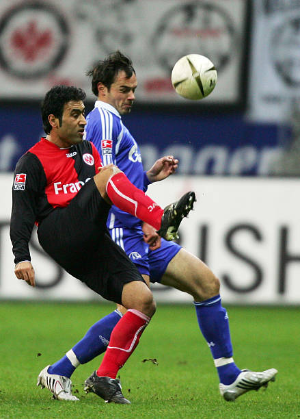 结合明确的 结合明确的